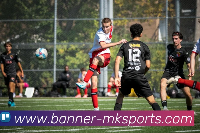 App Interface Preview