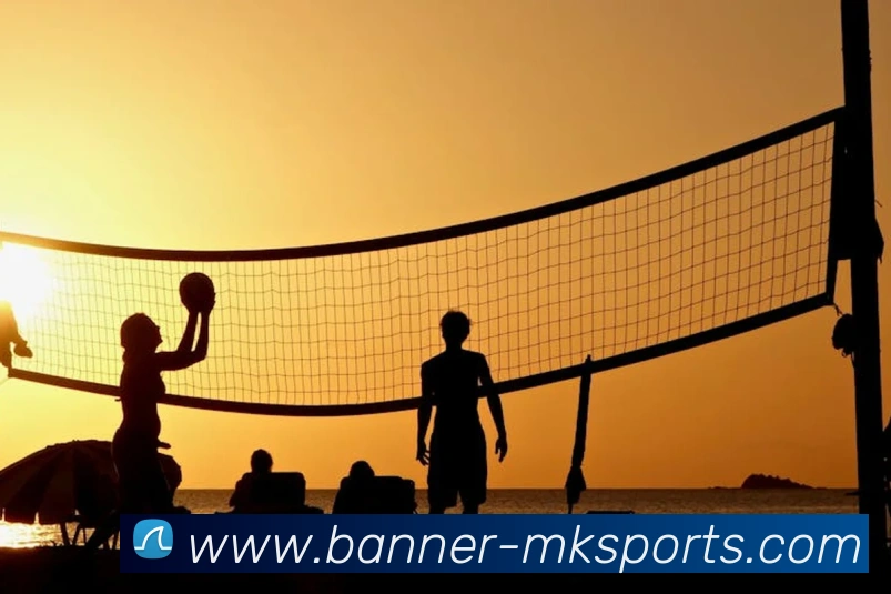 MK体育APP 封面图